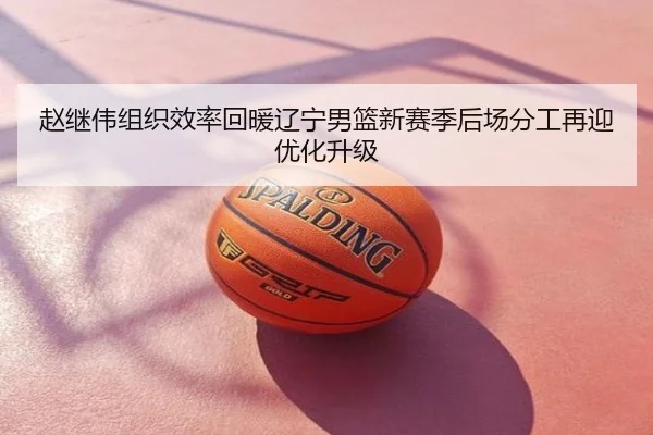 赵继伟组织效率回暖辽宁男篮新赛季后场分工再迎优化升级